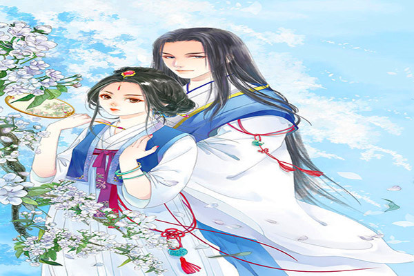 关于《女护卫》书评，主角时文修的小说评论-优文网
