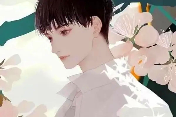 男主谢昶的小说评论，书名《怎奈卿卿动人心》书评-优文网