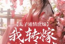 太子迷情庶妹，我转嫁当朝权贵宋晚意裴恒小说在线章节免费阅读-优文网
