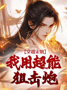 完结版《穿越宋朝，我用超能狙击炮》章节阅读