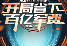 大国重器：开局省下百亿军费小说，大国重器：开局省下百亿军费在线阅读-优文网