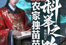 穿越之农家独苗苗的科举之路张鳌张平安小说大结局免费试读-优文网