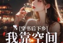 免费看穿书后下乡，我靠空间躺平咯小说的网站有哪些？-优文网