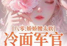 八零：娇娇腰太软，冷面军官沦陷了叶小媚马启军，八零：娇娇腰太软，冷面军官沦陷了章节在线阅读-优文网
