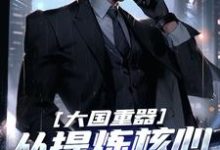 大国重器：从提炼核心技术开始小说阅读，大国重器：从提炼核心技术开始完结版-优文网