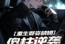 重生娶娄晓娥，傻柱逆袭爽文男主何雨柱楼晓娥小说在线章节免费阅读-优文网