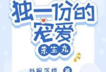 独一份的宠爱【杀生丸】小说的无弹窗阅读体验，寻找免费阅读网站-优文网