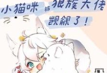 白楼狼战完整版小说免费阅读-优文网