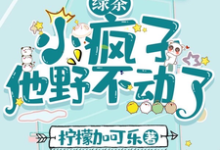 绿茶小疯子他野不动了小说全文哪里可以免费看？-优文网