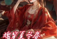 夏冬春穿越日记：我与华妃二三事苏小小年世兰小说大结局免费试读-优文网