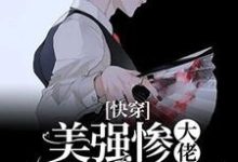 求[快穿]美强惨大佬总想独占我小说的全文免费阅读链接-优文网
