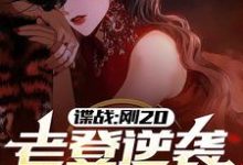 许敬元孙嘉棋小说《谍战：刚20，老登逆袭什么鬼？》在线阅读-优文网