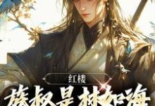林民意林黛玉小说免费阅读完整版-优文网