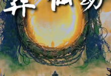 已完结小说《葬仙：开局坠入深渊，我来重开仙路》章节在线阅读-优文网