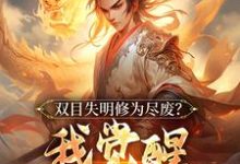 双目失明修为尽废？我觉醒盖世武魂小说完结了吗？在哪里可以免费读到？-优文网