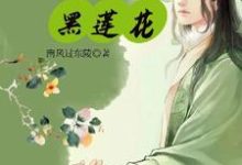 世子爷，你的小白兔是朵黑莲花小说有没有完结版在线？-优文网