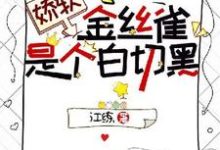 陈朔沈忱完整版小说免费阅读-优文网