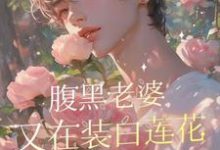 小说完整版《腹黑老婆又在装白莲花撩张总了》免费阅读-优文网