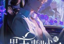 在线免费阅读快穿：男主事业心呢，怎么全是恋爱脑完整小说-优文网