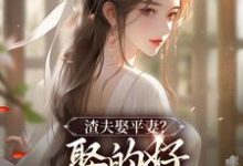 在线免费阅读渣夫娶平妻？娶的好，下次别再娶了完整小说-优文网