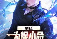 系统：为保小命，给儿子们全附魔罗恩在线章节免费阅读-优文网