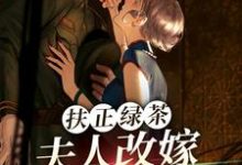 扶正绿茶？夫人改嫁少帅你哭什么傅安安小说大结局免费试读-优文网