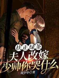 扶正绿茶？夫人改嫁少帅你哭什么傅安安小说大结局免费试读