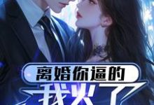 《离婚你逼的，我火了你哭什么？》小说章节在线试读，《离婚你逼的，我火了你哭什么？》最新章节目录-优文网