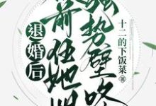 已完结小说《退婚后，被前任她姐强势壁咚》最新章节-优文网