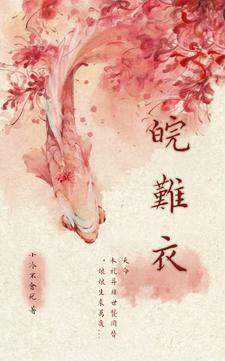 求皖难衣小说的全文免费阅读链接