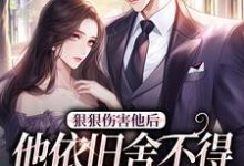《狠狠伤害他后，他依旧舍不得放开我》小说岑姿陆时肆章节章节免费在线阅读-优文网