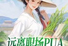 陆佳怡完整版小说免费阅读-优文网