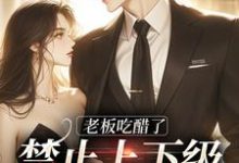 完整版《老板吃醋了，禁止上下级恋爱》小说免费阅读-优文网