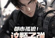 求都市孤狼！这颗子弹为何如此狂野小说的全文免费阅读链接-优文网