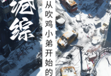 港综：从吹鸡小弟开始的称霸之路封琛，港综：从吹鸡小弟开始的称霸之路在线无弹窗阅读-优文网