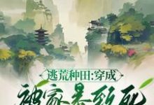 《逃荒种田：穿成被家暴致死的农妇》小说李昭李盼儿章节章节免费在线阅读-优文网