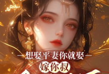 想娶平妻你就娶，嫁你叔凤临天下桑非晚魏阙小说大结局免费试读-优文网