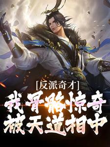 小说《反派奇才：我骨骼惊奇被天道相中》章节免费阅读
