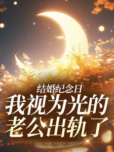结婚纪念日，我视为光的老公出轨了完整版小说免费阅读，结婚纪念日，我视为光的老公出轨了小说