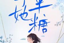 《予她半糖》小说章节列表免费试读，朝暮岁聿小说在线阅读-优文网