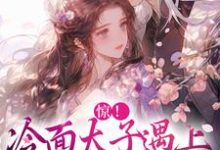 完整版《惊!冷面太子遇上刁蛮女杀手》小说免费阅读-优文网
