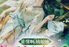 完整版小说《谁懂啊，姨娘她靠颜值杀疯了》免费阅读-优文网