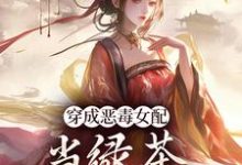 穿成恶毒女配，当绿茶这么有趣？小说阅读，穿成恶毒女配，当绿茶这么有趣？完结版-优文网