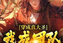 哪里能找到穿成真大圣，我成团队香饽饽小说的全部章节？-优文网