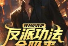 寻找能够免费阅读穿越后我把反派功法全吸来小说的平台-优文网