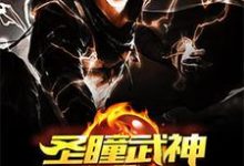 小说《都市圣瞳武神》在线章节阅读-优文网