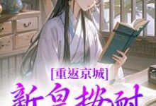 重返京城，新皇按耐不住了！陆行简苏晚晚小说大结局免费试读-优文网