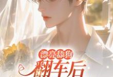 《漂亮舔狗翻车后逃不掉了》秦以棠温予凉完整版小说免费阅读-优文网