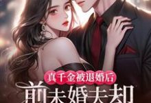 真千金被退婚后，前未婚夫却疯狂扒她马甲小说无弹窗阅读的网站推荐-优文网