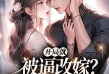 开局就被逼改嫁？我转身去寻夫免费阅读，开局就被逼改嫁？我转身去寻夫章节在线阅读-优文网